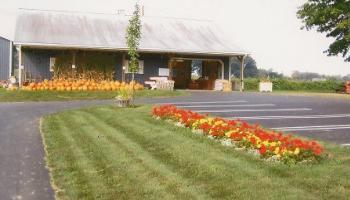 store, market, flowers lined up edge