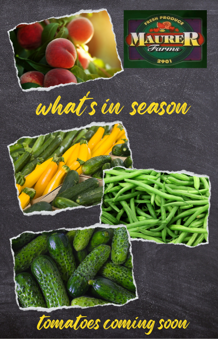 Pick Your Own Berries farm summer veggies